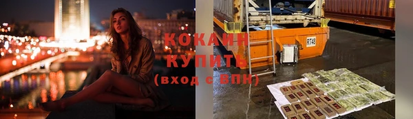 хмурый Нея