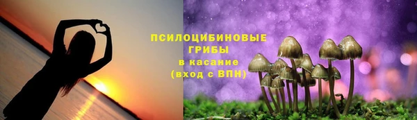 мяу мяу мука Нефтекумск