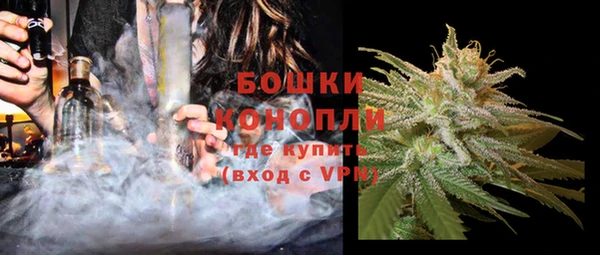хмурый Нея